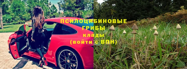 бошки Армянск