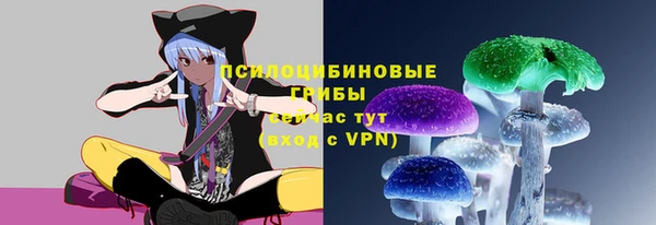 бошки Армянск