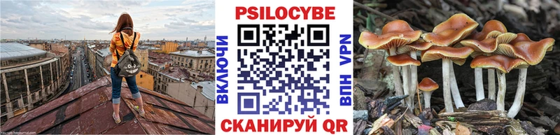 Галлюциногенные грибы Cubensis  Советская Гавань 